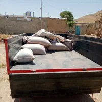 فروش لپه محلی لپه دستار