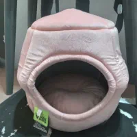 لانه ی گربه وسگ،نوی نو