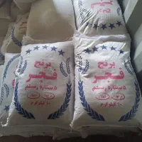 برنج فجر ایرانی ، کامفیروز