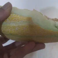 سرمایگزار