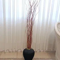 گلدون