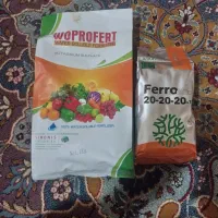 کودگرانول،ورمی کمپوست،هیومیک،آمینواسید،کودnpk