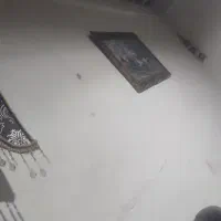 منزل هوشک میرمرادزهی۱۹