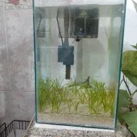 اکواریوم به همراه متعلقات