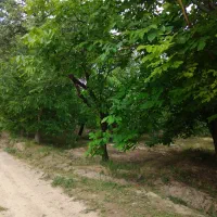 فروش-زمین-کشاورزی-در-روستای-مزلقان