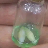 مهره کارگشا