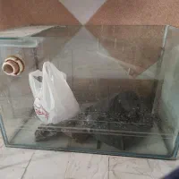 اکواریوم