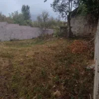 زمین