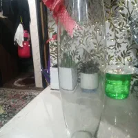 تنگ بلوری سالم