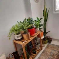 کافی بار واستند گلدان