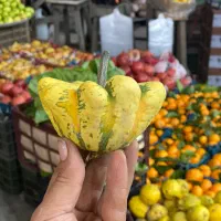 کارگر ساده برای میوه فروشی