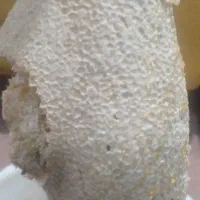 عسل درمانی