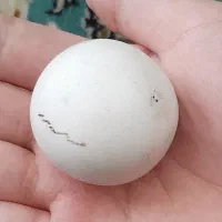 سنگ آسیاب اصل