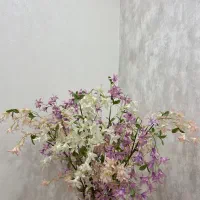 شکوفه های بهاری زیبا