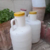 دبه خیارشور