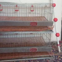 قفس دوطبقه بلدرچین