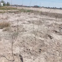 ۶۰۰ متر باغچه رباط کریم ، کیکاور