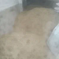جو محلی