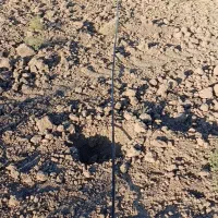 زمین-باغچه-باغ-مامونیه-معاوضه