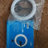 رینگ لایت