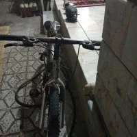 دوچرخه 26ویوا