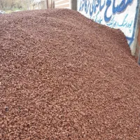 سیمان