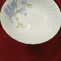 ظروف پذیرایی