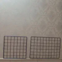 مایکل بادی و قفسه سیمی
