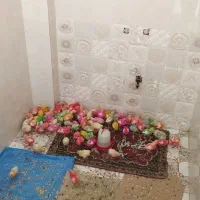 جوجه ملاثانی