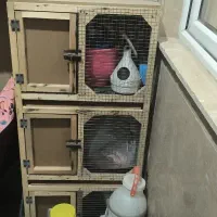 قفس چوبی و فلزی