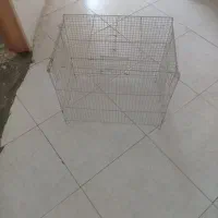قفس پرنده