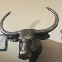دیوارکوب بوفالو