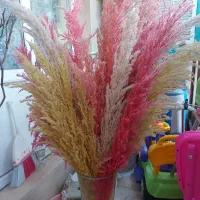گل خشک دکوراتیو رنگی و گلدان مصنوعی