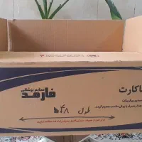 کارتن سالم