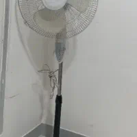 پنکه سونیا