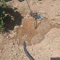 باغ ۳۸۰متری نقلی