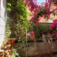 منزل-سوییت-ویلایی