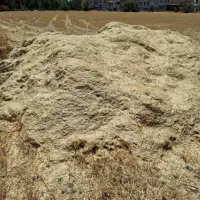 کاه گیر