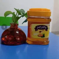 یک کارتن عسل ۶ تایی ۲ میلیون تومان فروخته میشود