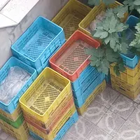 سبد مرغی و کشتارگاهی سبد پلاستیکی