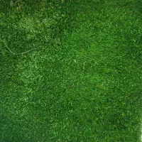 چمن مصنوعی فروش یا معاوضه با گلیم فرش ۹ متری