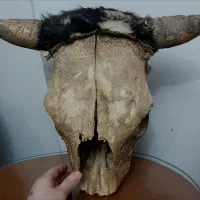تزئینی اتاق و خانه