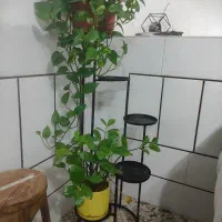 استند گلاستند گل فلزی