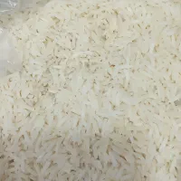 برنج شیرودی