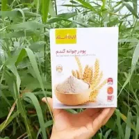 پودر جوانه گندم