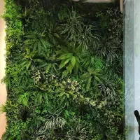 دیوار سبز مصنوعی برای منزل و محل کار