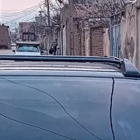 ماشین آردی تک‌گانه سالم سالم