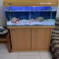 اکواریوم شیشه خم شرکتی ۱ متری