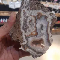 یک قطعه شجر کلکسیونی