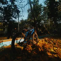 دوچرخه BMX جاینت متود 02